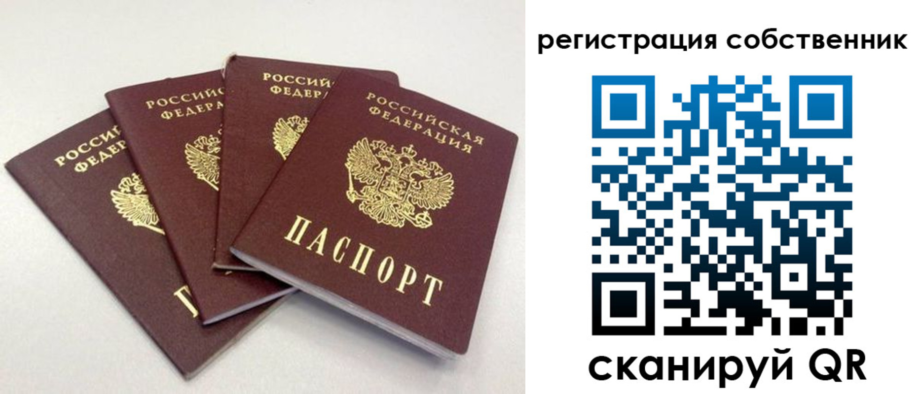 прописка для школы в Лодейном Поле